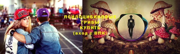 mdma Бородино